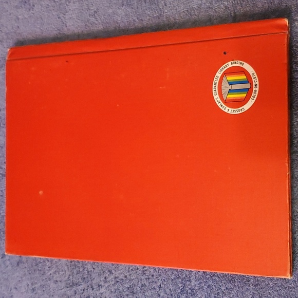 The microscope and what you see - Picture 2 of 4